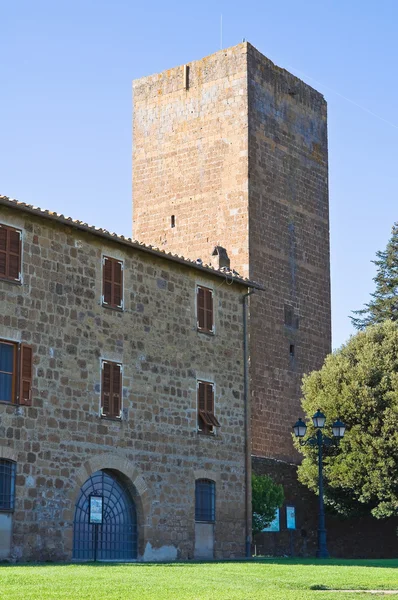 Башня парка Лавелло. Tuscania. Лацио. Италия . — стоковое фото