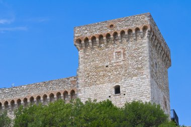 Albornoz Kalesi. Narni. Umbria. İtalya.