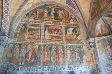 Basilica of st. flaviano. Montefiascone. Lazio. İtalya.