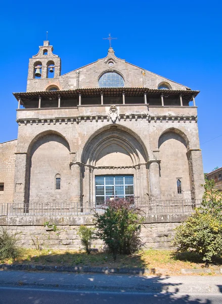 Basílica de San Flaviano. Montefiascone. Lazio. Italia . — Foto de Stock