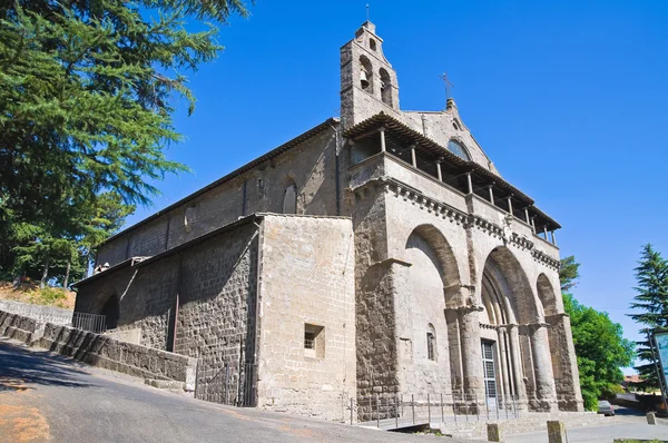 Basílica de San Flaviano. Montefiascone. Lazio. Italia . —  Fotos de Stock
