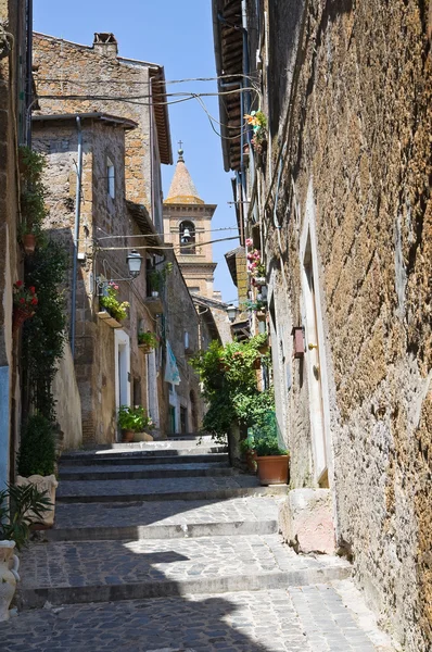 Alleyway. Capranica. Lazio. İtalya. — Stok fotoğraf