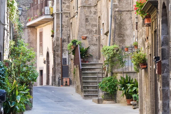 Alleyway. Vitorchiano. Lazio. Italy. — Stock Photo, Image
