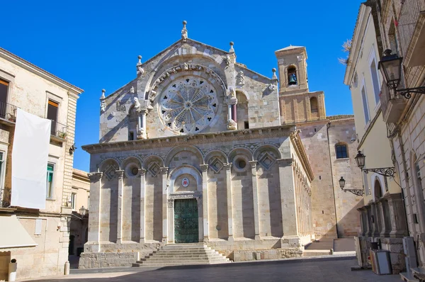 Katedrála troia. Puglia. Itálie. — Stock fotografie