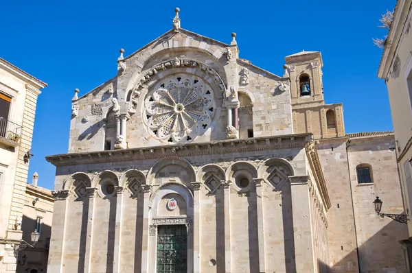 Kathedraal van troia. Puglia. Italië. — Stockfoto