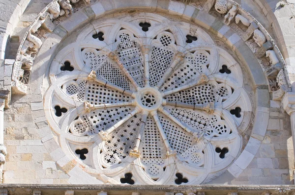 Kathedrale von Troia. Apulien. Italien. — Stockfoto
