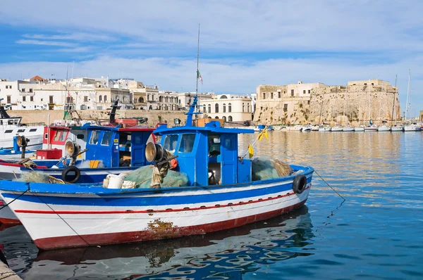 Panorámás kilátás Gallipolira. Puglia vagyok. Olaszország. — Stock Fotó