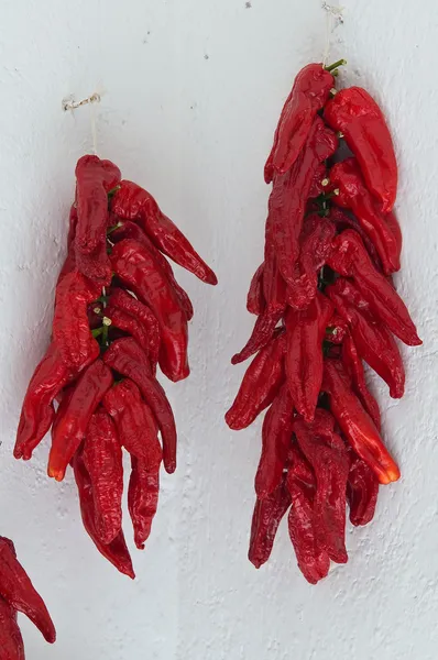Red hot peppers hanging on the wall. — Stock Photo, Image