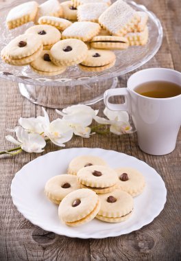 Çikolatalı Bisküvi.