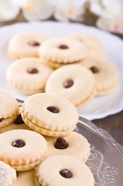 Galletas de chocolate . —  Fotos de Stock