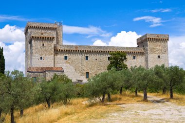 Albornoz Kalesi. Narni. Umbria. İtalya.
