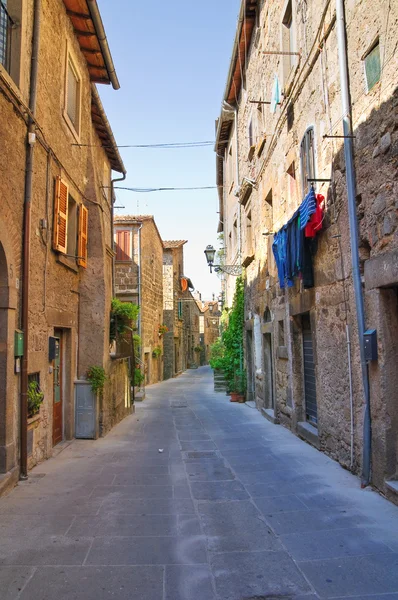 Alleyway. Vitorchiano. Lazio. Italy. Royalty Free Stock Images