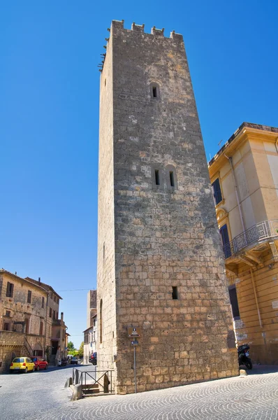 Barucci kulesi. Tarquinia. Lazio. İtalya. — Stok fotoğraf