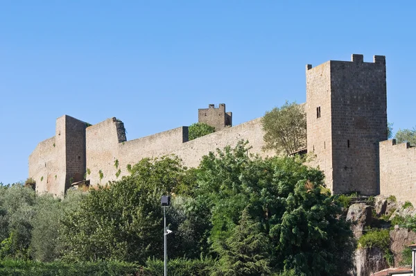 Paredes fortificadas. Viterbo. Lazio. Itália . — Fotografia de Stock