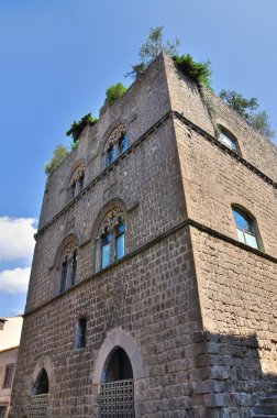 Gatti Sarayı. Viterbo. Lazio. İtalya.