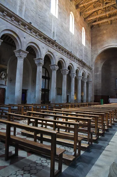 ヴィテルボ大聖堂。ラツィオ州。イタリア. — ストック写真