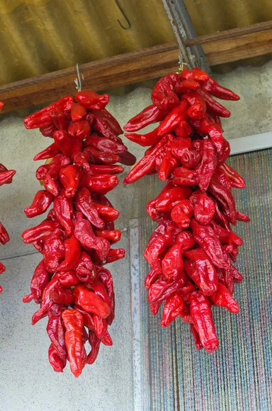 Red hot peppers hanging on the wall. — Stock Photo, Image