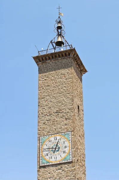 Palacio de los Podesto. Viterbo. Lazio. Italia . —  Fotos de Stock