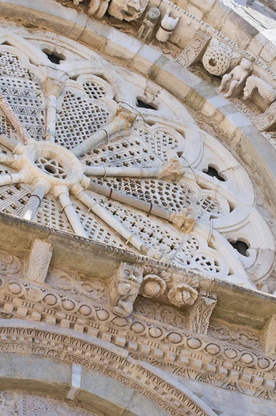 Catedral de Troia. Puglia. Italia . — Foto de Stock