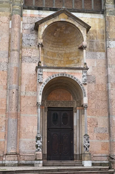 Katedra w piacenza. Emilia-Romania. Włochy. — Zdjęcie stockowe