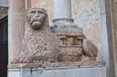 Piacenza Katedrali. Emilia-Romagna. İtalya.