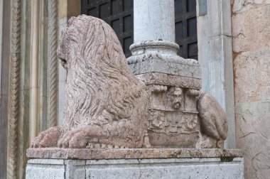 Piacenza Katedrali. Emilia-Romagna. İtalya.