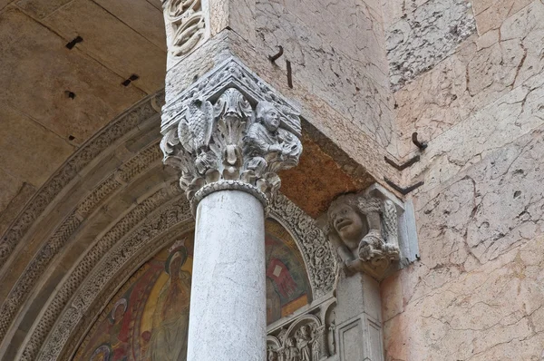 大教堂的皮亚琴察。艾米利亚-罗马涅。意大利. — 图库照片