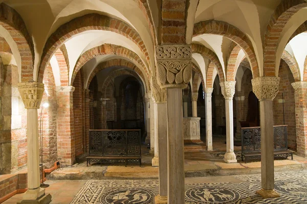 Basilica of St. Savino. Piacenza. Emilia-Romagna. Italy. — Stockfoto