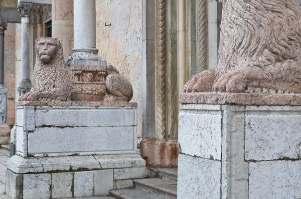 Piacenza Katedrali. Emilia-Romagna. İtalya.