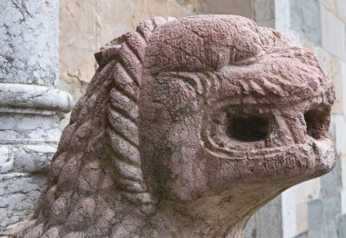 Piacenza Katedrali. Emilia-Romagna. İtalya.