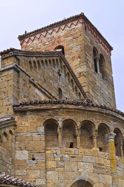 Collegiale kerk van castell'arquato. Emilia-Romagna. Italië — Stockfoto