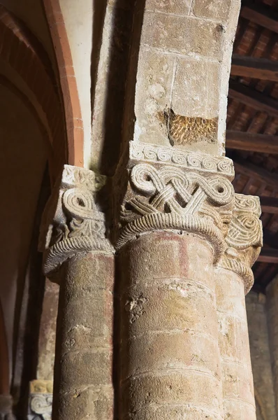 Iglesia Colegiata de Castell 'Arquato. Emilia-Romaña. Italia . —  Fotos de Stock