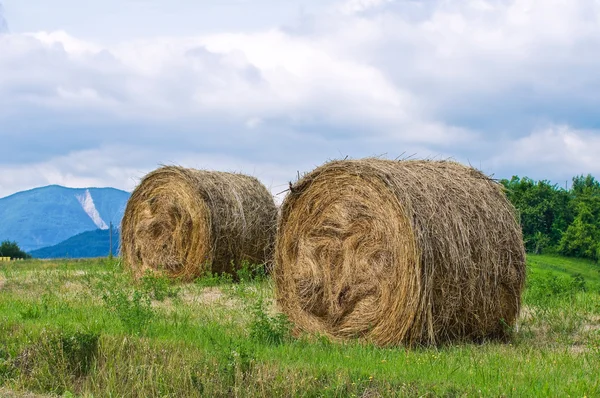 Campo de fardos de feno . — Fotografia de Stock