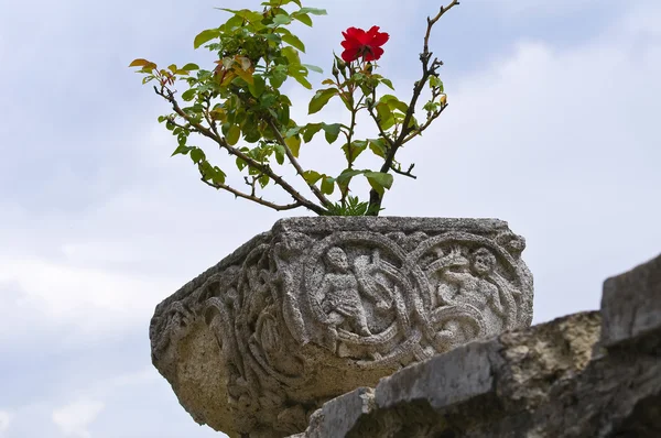 Castelo de Compiano. Emilia-Romagna. Itália . — Fotografia de Stock