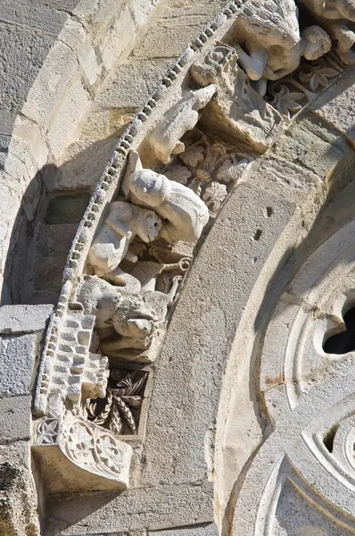 Kathedraal van troia. Puglia. Italië. — Stockfoto