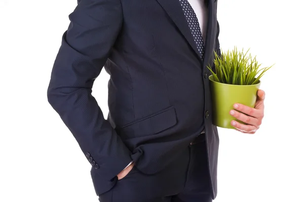 Affärsman som håller krukväxter. — Stockfoto
