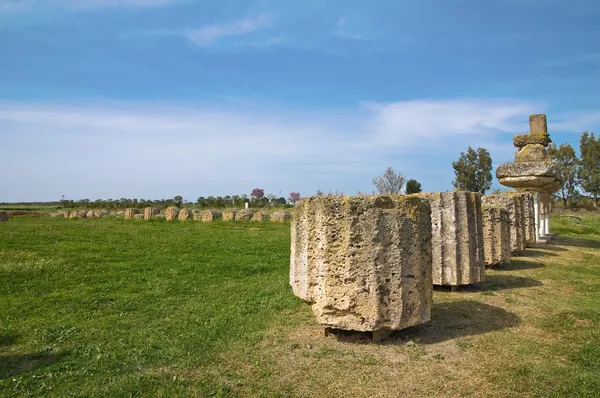 Arkeologiska parken. Metaponto. Basilicata. Italien. — Stockfoto