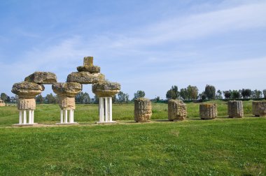 arkeolojik park. Metaponto. Basilicata. İtalya.