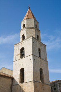 Katedrali, st. andrea. venosa. Basilicata. İtalya.