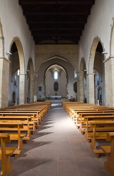 Katedra st. andrea. Venosa. Basilicata. Włochy. — Zdjęcie stockowe