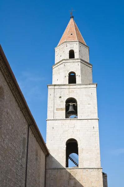 Szent andrea katedrális. a Venosa. Basilicata. Olaszország. — Stock Fotó