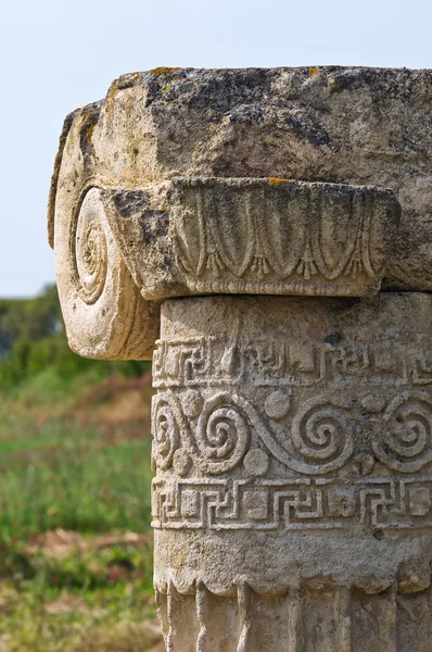 Archeologický park. Metaponto. Basilicata. Itálie. — Stock fotografie