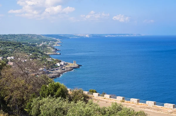 Tiggiano panoramisch uitzicht. Puglia. Italië. — Stockfoto