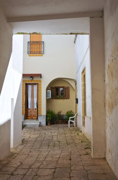 Callejuela. Presicce. Puglia. Italia . —  Fotos de Stock