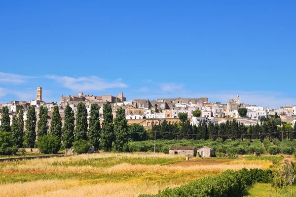 Panoramautsikt över specchia. Puglia. Italien. — Stockfoto