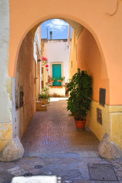 Alleyway. Poggiardo. Puglia. Italy. — Stock Photo, Image