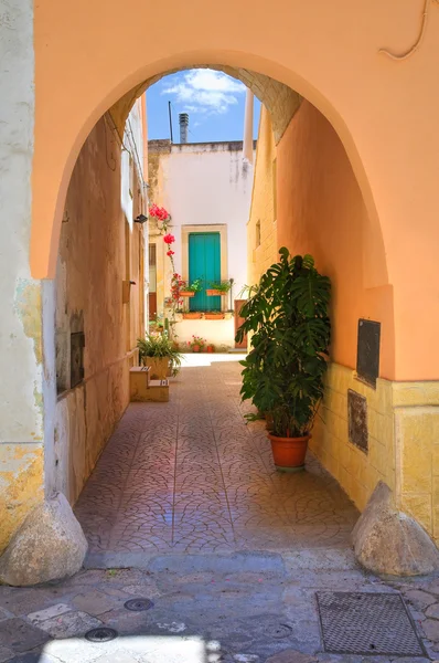 Gränd. Poggiardo. Puglia. Italien. — Stockfoto