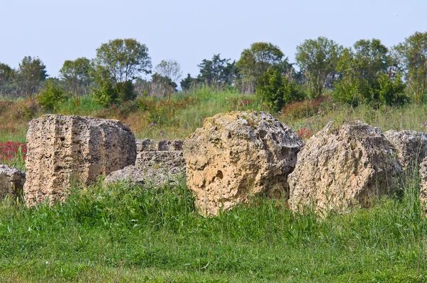 Park archeologiczny. Metaponto. Basilicata. Włochy. — Zdjęcie stockowe