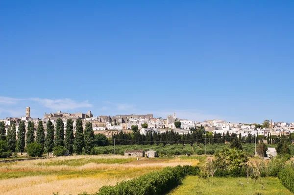 Panoramautsikt över specchia. Puglia. Italien. — Stockfoto