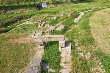 arkeolojik park. Metaponto. Basilicata. İtalya.